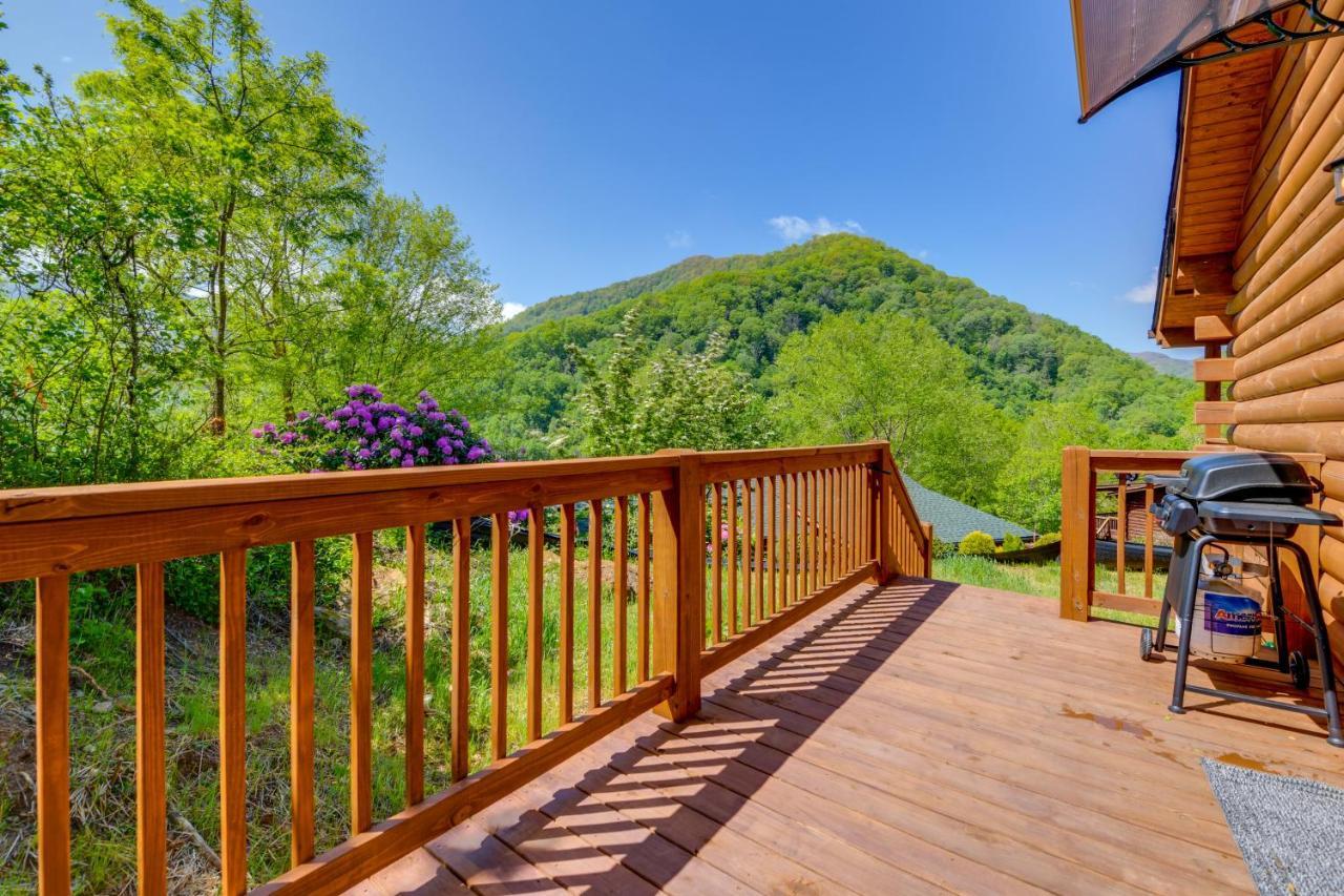4 Mi To Cataloochee Area!